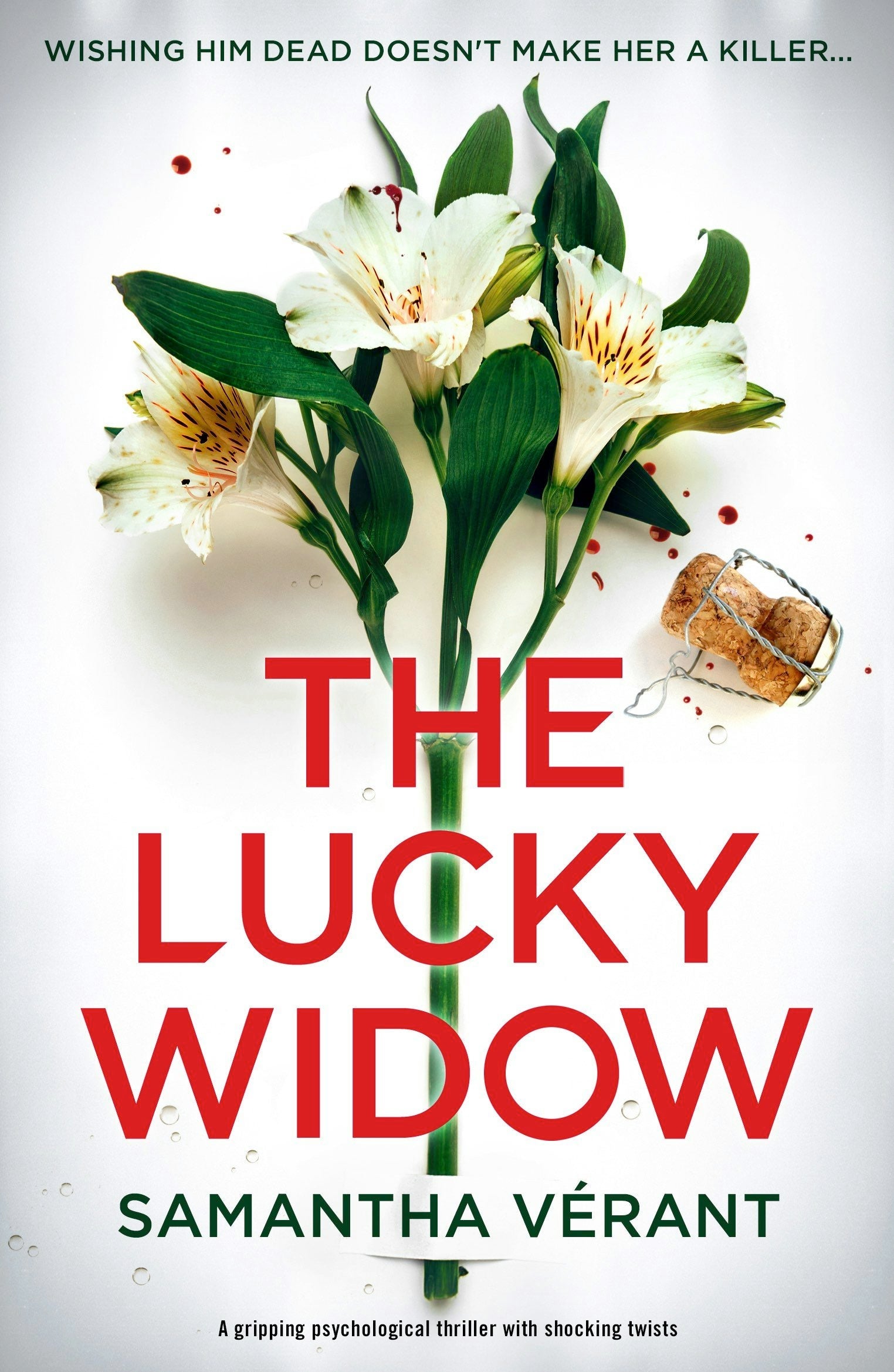 Book cover image for The Lucky Widow ISBN: 9781805086437
